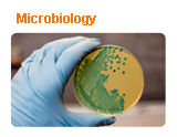 Microbiological Testing